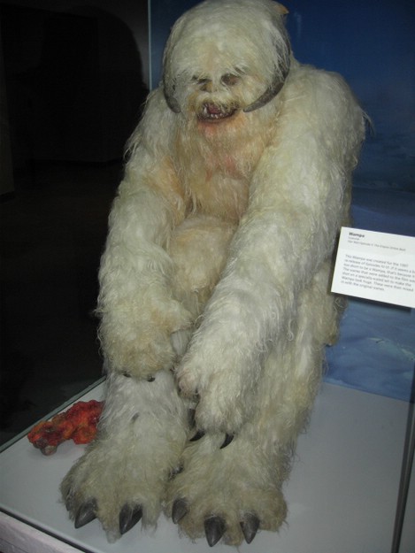 click for next image