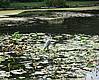 IMG_2331.jpg